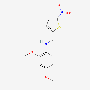 molecular formula C13H14N2O4S B5777368 (2,4-dimethoxyphenyl)[(5-nitro-2-thienyl)methyl]amine 