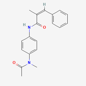 molecular formula C19H20N2O2 B5778156 N-{4-[acetyl(methyl)amino]phenyl}-2-methyl-3-phenylacrylamide 