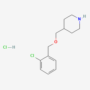molecular formula C13H19Cl2NO B577829 4-{[(2-Chlorobenzyl)oxy]methyl}piperidine hydrochloride CAS No. 1220017-37-7