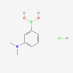 molecular formula C8H13BClNO2 B577830 3-(N,N-Dimethylamino)phenylboronic acid hydrochloride CAS No. 1256355-23-3