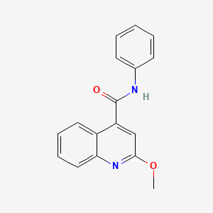 molecular formula C17H14N2O2 B5778922 2-methoxy-N-phenyl-4-quinolinecarboxamide 