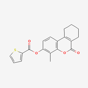 molecular formula C19H16O4S B5779263 4-methyl-6-oxo-7,8,9,10-tetrahydro-6H-benzo[c]chromen-3-yl 2-thiophenecarboxylate 