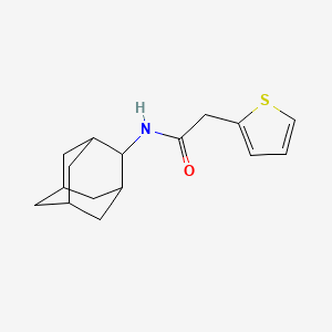 molecular formula C16H21NOS B5779340 N-2-adamantyl-2-(2-thienyl)acetamide 