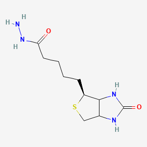 molecular formula C10H18N4O2S B578044 5-((4S)-2-氧代六氢-1H-噻吩[3,4-d]咪唑-4-基)戊烷酰肼 CAS No. 1214641-84-5