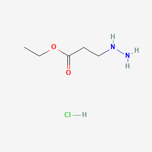 molecular formula C5H13ClN2O2 B578081 3-肼基丙酸乙酯盐酸盐 CAS No. 1216111-67-9