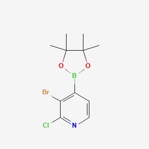 molecular formula C11H14BBrClNO2 B578109 3-溴-2-氯吡啶-4-硼酸二甲基酯 CAS No. 1315351-37-1