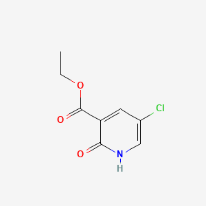 molecular formula C8H8ClNO3 B578153 5-氯-2-羟基烟酸乙酯 CAS No. 1214366-84-3