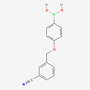 molecular formula C14H12BNO3 B578158 (4-((3-氰基苯甲基)氧)苯基)硼酸 CAS No. 1256355-78-8