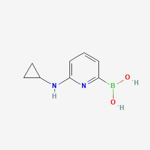 molecular formula C8H11BN2O2 B578159 (6-(环丙氨基)吡啶-2-基)硼酸 CAS No. 1309982-29-3