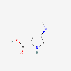 molecular formula C7H14N2O2 B578163 (2S,4R)-4-(Dimethylamino)pyrrolidine-2-carboxylic acid CAS No. 1256636-28-8