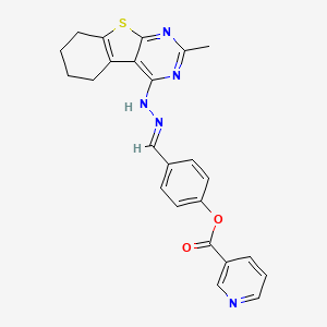 molecular formula C24H21N5O2S B5782799 4-[2-(2-methyl-5,6,7,8-tetrahydro[1]benzothieno[2,3-d]pyrimidin-4-yl)carbonohydrazonoyl]phenyl nicotinate 