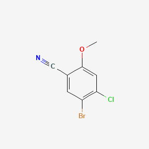 molecular formula C8H5BrClNO B578294 5-Bromo-4-chloro-2-methoxybenzonitrile CAS No. 1239838-17-5