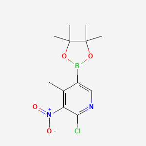 molecular formula C12H16BClN2O4 B578305 2-Chloro-4-methyl-3-nitro-5-(4,4,5,5-tetramethyl-1,3,2-dioxaborolan-2-yl)pyridine CAS No. 1260156-97-5