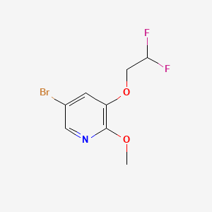 molecular formula C8H8BrF2NO2 B578311 5-Bromo-3-(2,2-difluoroethoxy)-2-methoxypyridine CAS No. 1241752-42-0