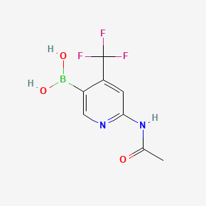 molecular formula C8H8BF3N2O3 B578332 6-Acetamido-4-(trifluoromethyl)pyridin-3-ylboronic acid CAS No. 1370351-47-5