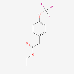 molecular formula C11H11F3O3 B578346 Ethyl 2-(4-(trifluoromethoxy)phenyl)acetate CAS No. 1206550-93-7