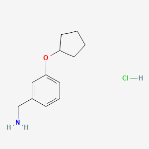 molecular formula C12H18ClNO B578349 (3-(Cyclopentyloxy)phenyl)methanamine hydrochloride CAS No. 1235441-67-4
