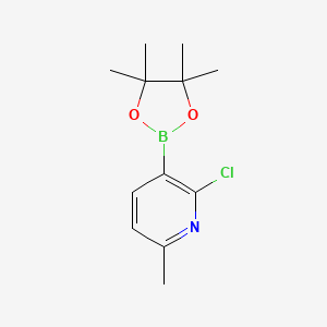 molecular formula C12H17BClNO2 B578363 2-氯-6-甲基-3-(4,4,5,5-四甲基-1,3,2-二氧杂硼环-2-基)吡啶 CAS No. 1309982-64-6