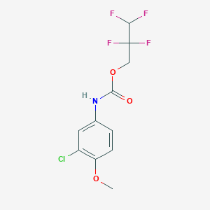 molecular formula C11H10ClF4NO3 B5784058 2,2,3,3-tetrafluoropropyl (3-chloro-4-methoxyphenyl)carbamate 
