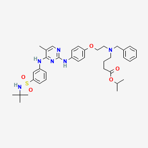 molecular formula C37H48N6O5S B578468 isopropyl 4-(benzyl(2-(4-(4-(3-(N-tert-butylsulfamoyl)phenylamino)-5-methylpyrimidin-2-ylamino)phenoxy)ethyl)amino)butanoate CAS No. 1245645-85-5