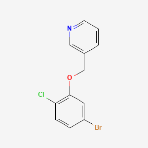 molecular formula C12H9BrClNO B578508 3-((5-溴-2-氯苯氧基)甲基)吡啶 CAS No. 1291487-23-4