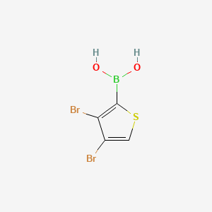 molecular formula C4H3BBr2O2S B578537 (3,4-二溴噻吩-2-基)硼酸 CAS No. 1256355-38-0