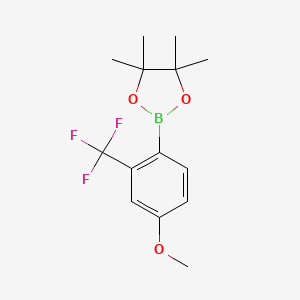 molecular formula C14H18BF3O3 B578561 2-(4-Methoxy-2-(trifluoromethyl)phenyl)-4,4,5,5-tetramethyl-1,3,2-dioxaborolane CAS No. 1218790-37-4