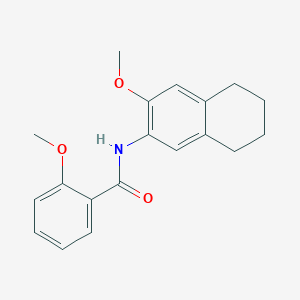 molecular formula C19H21NO3 B5785654 2-methoxy-N-(3-methoxy-5,6,7,8-tetrahydro-2-naphthalenyl)benzamide 