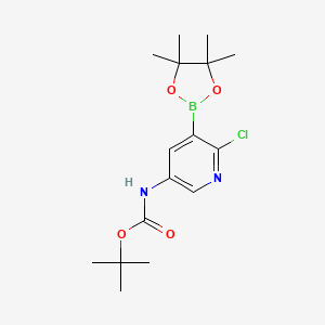 molecular formula C16H24BClN2O4 B578649 叔丁基（6-氯-5-(4,4,5,5-四甲基-1,3,2-二氧杂硼环-2-基)吡啶-3-基)氨基甲酸酯 CAS No. 1310404-53-5