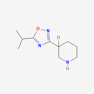 molecular formula C10H17N3O B578658 3-(5-Isopropyl-[1,2,4]oxadiazol-3-yl)-piperidine CAS No. 1251999-18-4