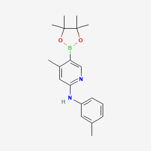 molecular formula C19H25BN2O2 B578663 4-Methyl-5-(4,4,5,5-tetramethyl-1,3,2-dioxaborolan-2-yl)-n-m-tolylpyridin-2-amine CAS No. 1354911-21-9
