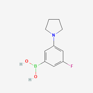 molecular formula C10H13BFNO2 B578739 (3-Fluoro-5-(pyrrolidin-1-yl)phenyl)boronic acid CAS No. 1217500-96-3