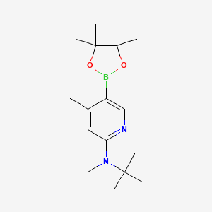 molecular formula C17H29BN2O2 B578802 n-Tert-butyl-n,4-dimethyl-5-(4,4,5,5-tetramethyl-1,3,2-dioxaborolan-2-yl)pyridin-2-amine CAS No. 1350559-16-8