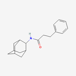 molecular formula C19H25NO B5789201 N-2-adamantyl-3-phenylpropanamide CAS No. 6142-81-0