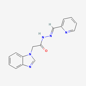 molecular formula C15H13N5O B5790105 2-(1H-benzimidazol-1-yl)-N'-(2-pyridinylmethylene)acetohydrazide 