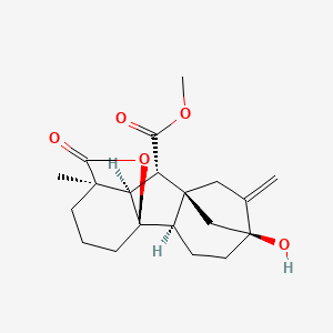 gibberellin A20 methyl ester