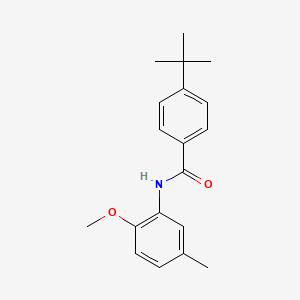molecular formula C19H23NO2 B5791863 4-tert-butyl-N-(2-methoxy-5-methylphenyl)benzamide 