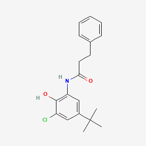 molecular formula C19H22ClNO2 B5792531 N-(5-tert-butyl-3-chloro-2-hydroxyphenyl)-3-phenylpropanamide 