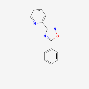 2-[5-(4-tert-butylphenyl)-1,2,4-oxadiazol-3-yl]pyridine