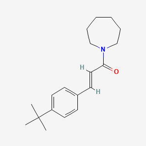 molecular formula C19H27NO B5795030 1-[3-(4-tert-butylphenyl)acryloyl]azepane 