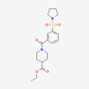molecular formula C19H26N2O5S B5795738 ethyl 1-[3-(1-pyrrolidinylsulfonyl)benzoyl]-4-piperidinecarboxylate 