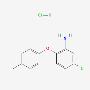 molecular formula C13H13Cl2NO B579581 5-氯-2-(4-甲基苯氧基)苯胺盐酸盐 CAS No. 16824-48-9
