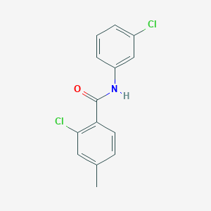 molecular formula C14H11Cl2NO B5796208 2-chloro-N-(3-chlorophenyl)-4-methylbenzamide 