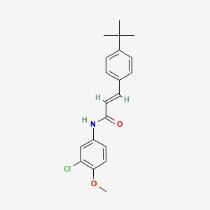 molecular formula C20H22ClNO2 B5797307 3-(4-tert-butylphenyl)-N-(3-chloro-4-methoxyphenyl)acrylamide 