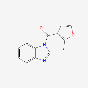 molecular formula C13H10N2O2 B5798501 1-(2-methyl-3-furoyl)-1H-benzimidazole 