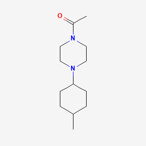 molecular formula C13H24N2O B5800033 1-acetyl-4-(4-methylcyclohexyl)piperazine 