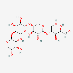 molecular formula C20H34O17 B580021 木糖四糖 CAS No. 22416-58-6