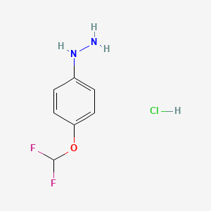 molecular formula C7H9ClF2N2O B580097 [4-(二氟甲氧基)苯基]肼盐酸盐 CAS No. 1240527-90-5