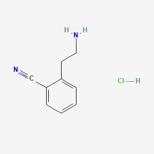 molecular formula C9H11ClN2 B580205 2-Cyanophenylethylamine hydrochloride CAS No. 1159826-34-2