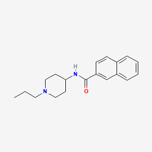 molecular formula C19H24N2O B5802189 N-(1-propyl-4-piperidinyl)-2-naphthamide 
